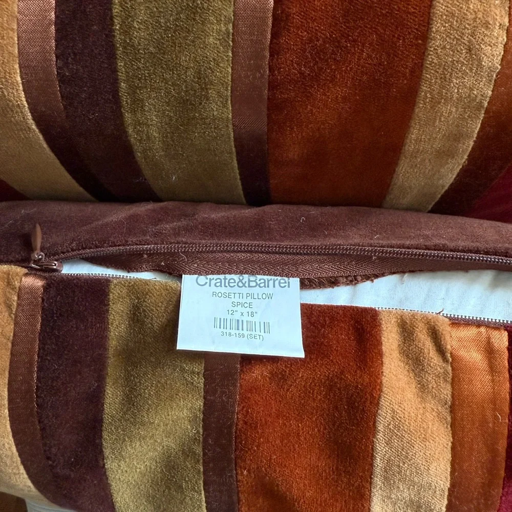 Crate&Barrel Multicolor Striped Velvet Pillows